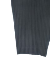 HOMME PLISSE（オムプリッセ）その他 紺 サイズ:2(M位) メンズ/2200680908032