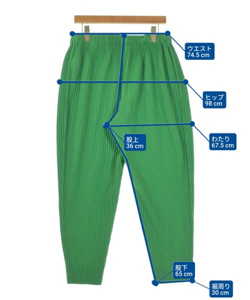 HOMME PLISSE（オムプリッセ）その他 緑 サイズ:3(L位) メンズ/2200649397020