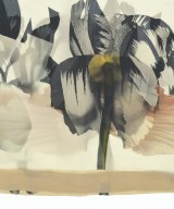 TELA（テラ）ワンピース ベージュ サイズ:40(M位) レディース/2200669767070