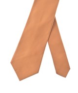 COMME des GARCONS HOMME DEUX（コムデギャルソンオムドゥ）ネクタイ オレンジ サイズ:- メンズ/2200665803222