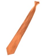 COMME des GARCONS HOMME DEUX ネクタイ