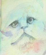 VIVETTA（ヴィヴェッタ）カジュアルシャツ 白 サイズ:-(M位) レディース/2200664321635