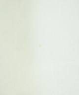 KHAITE（ケイト）カジュアルシャツ 白 サイズ:2(M位) レディース/2200623343036