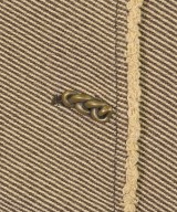 REJINA PYO（レジーナ　ピョウ）カジュアルジャケット ベージュ サイズ:8(M位) レディース/2200638119039