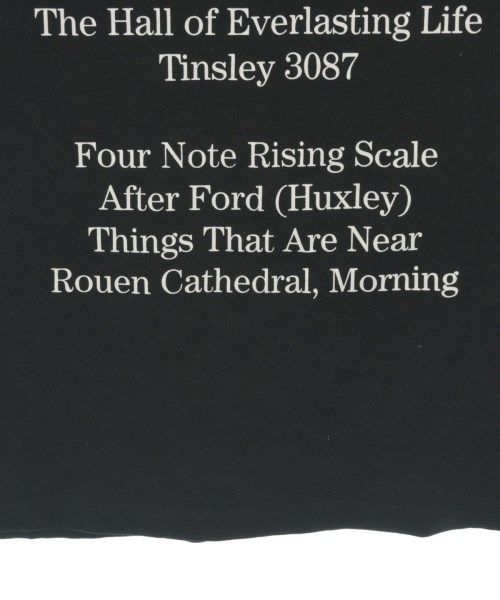 RAF SIMONS（ラフシモンズ）Tシャツ・カットソー 黒 サイズ:L メンズ/2200652172034