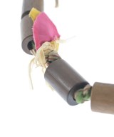 MARNI（マルニ）ネックレス 緑 サイズ:- レディース/2200627501760