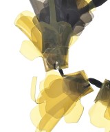 MARNI（マルニ）ネックレス 黒 サイズ:- レディース/2200671106027