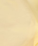 MARNI（マルニ）その他 白 サイズ:38(S位) レディース/2200690516043