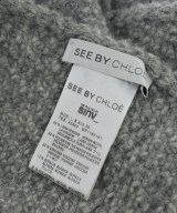 See By Chloe（シー　バイ　クロエ）マフラー グレー サイズ:- レディース/2200633032111