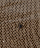 Pierre-Henri MATTOUT（ピエール－アンリ　マトゥ）小物類（その他） ベージュ サイズ:L レディース/2200623710173