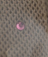 Pierre-Henri MATTOUT（ピエール－アンリ　マトゥ）小物類（その他） ベージュ サイズ:L レディース/2200623710180