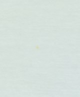 MM6（エムエムシックス）Tシャツ・カットソー 青 サイズ:S レディース/2200672477010