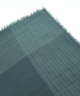 Faliero Sarti（ファリエロサルティ）マフラー 緑 サイズ:- メンズ/2200619930141