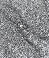 Faliero Sarti（ファリエロサルティ）ストール グレー サイズ:- レディース/2200668951104