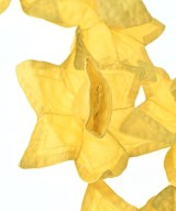 CHRISTOPHE COPPENS（クリストフコパンズ）ストール 黄 サイズ:- レディース/2200673293169