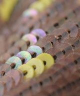 CHRISTOPHE COPPENS（クリストフコパンズ）小物類（その他） 茶 サイズ:- メンズ/2200662843054