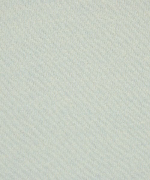 T by ALEXANDER WANG（ティーバイアレキサンダーワン）スウェット 青 サイズ:XS レディース/2200626106096