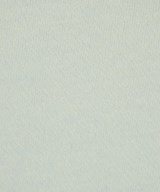 T by ALEXANDER WANG（ティーバイアレキサンダーワン）スウェット 青 サイズ:XS レディース/2200626106096