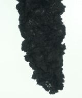 ISSEY MIYAKE FETE（イッセイミヤケフェット）ブラウス 黒 サイズ:02(M位) レディース/2200621566147