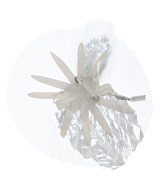 ISSEY MIYAKE FETE（イッセイミヤケフェット）ブローチ・コサージュ 白 サイズ:- レディース/2200611226570
