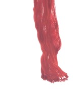 ISSEY MIYAKE FETE（イッセイミヤケフェット）ブラウス 赤 サイズ:2(M位) レディース/2200698460072