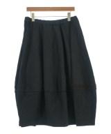 BLACK COMME des GARCONS（ブラックコムデギャルソン）ロング・マキシ丈スカート 黒 サイズ:-(L位) レディース/2200681495012