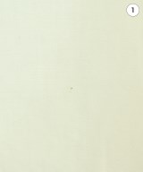 BLACK COMME des GARCONS（ブラックコムデギャルソン）カジュアルシャツ 白 サイズ:M メンズ/2200701525026