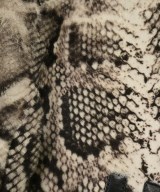 TOM FORD（トムフォード）その他 白 サイズ:48(L位) メンズ/2200652723014