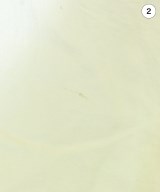 CARVEN（カルヴェン）カーディガン 緑 サイズ:S レディース/2200725135232