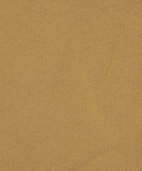 Frank&Eileen（フランクアンドアイリーン）スウェット 茶 サイズ:XS レディース/2200633369040