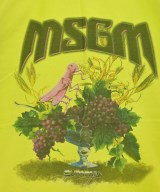 MSGM（エムエスジーエム）Tシャツ・カットソー 黄 サイズ:M メンズ/2200615030180