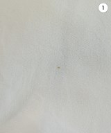 Miu Miu（ミュウミュウ）ブラウス 白 サイズ:36(XS位) レディース/2200643507180