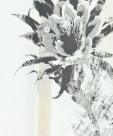 Y's（ワイズ）カジュアルシャツ 白 サイズ:1(XS位) レディース/2200647126028