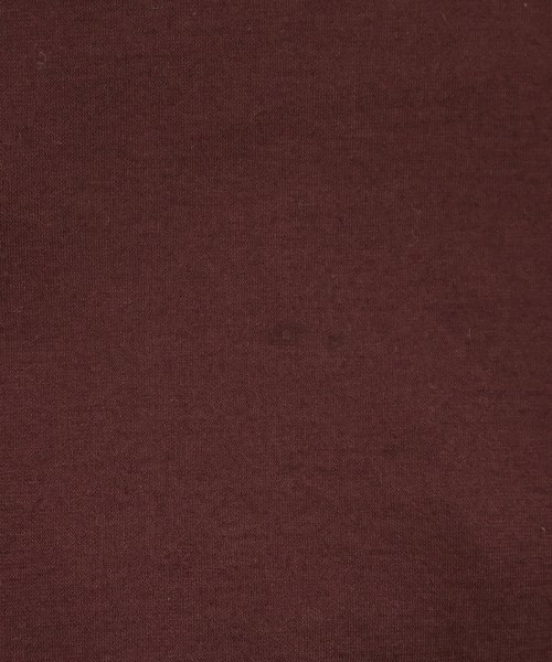 Y's（ワイズ）Tシャツ・カットソー 赤 サイズ:3(M位) レディース/2200737869095