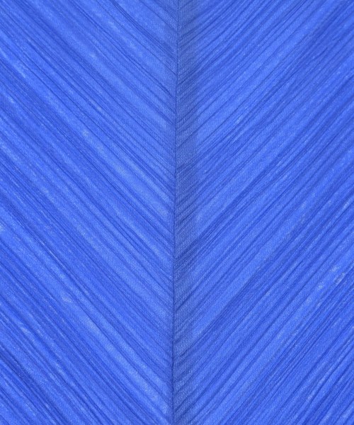 PLEATS PLEASE（プリーツプリーズ）その他 青 サイズ:3(L位) レディース/2200629801097