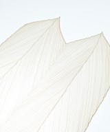 PLEATS PLEASE（プリーツプリーズ）ストール ベージュ サイズ:- レディース/2200631958086