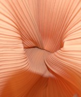 PLEATS PLEASE（プリーツプリーズ）トートバッグ オレンジ サイズ:- レディース/2200662650102