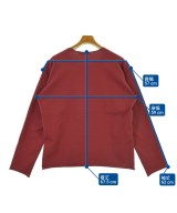 ISSEY MIYAKE MEN（イッセイ　ミヤケ　メン）Tシャツ・カットソー 赤 サイズ:2(M位) メンズ/2200663027026