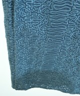 ERMANNO SCERVINO（エルマノシェルビーノ）その他 青 サイズ:46(XL位) レディース/2200616755020