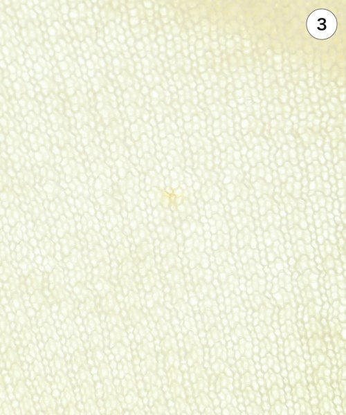 LIMI feu（リミフゥ）ニット・セーター 白 サイズ:S レディース/2200671633042