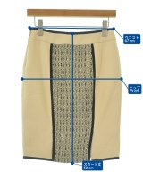 Blumarine（ブルマリン）ひざ丈スカート ベージュ サイズ:38(S位) レディース/2200626615055
