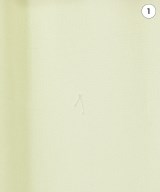 STELLA McCARTNEY（ステラマッカートニー）その他 白 サイズ:36(XS位) レディース/2200635818355