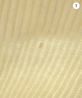 STELLA McCARTNEY（ステラマッカートニー）ニット・セーター 白 サイズ:36(XS位) レディース/2200636807020