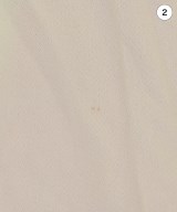 STELLA McCARTNEY（ステラマッカートニー）ブラウス 白 サイズ:38(S位) レディース/2200693403036