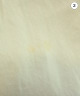 HUMAN WOMAN（ヒューマン　ウーマン）ブラウス 白 サイズ:M レディース/2200642719126