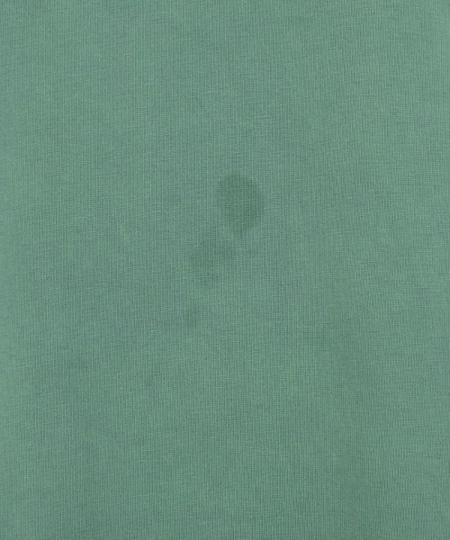 Carhartt（カーハート）Tシャツ・カットソー 緑 サイズ:L メンズ/2200692603178