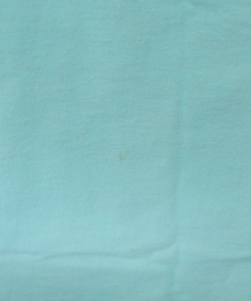 CHAMPION（チャンピオン）Tシャツ・カットソー 青 サイズ:M メンズ/2200622394121