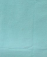 CHAMPION（チャンピオン）Tシャツ・カットソー 青 サイズ:M メンズ/2200622394121