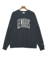 CHAMPION（チャンピオン）スウェット 紺 サイズ:M メンズ/2200631282112
