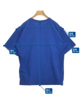 CHAMPION（チャンピオン）Tシャツ・カットソー 青 サイズ:M メンズ/2200606210034